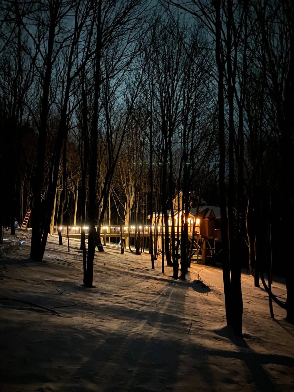 A finished Rooted Retreats build at dusk, lit from within