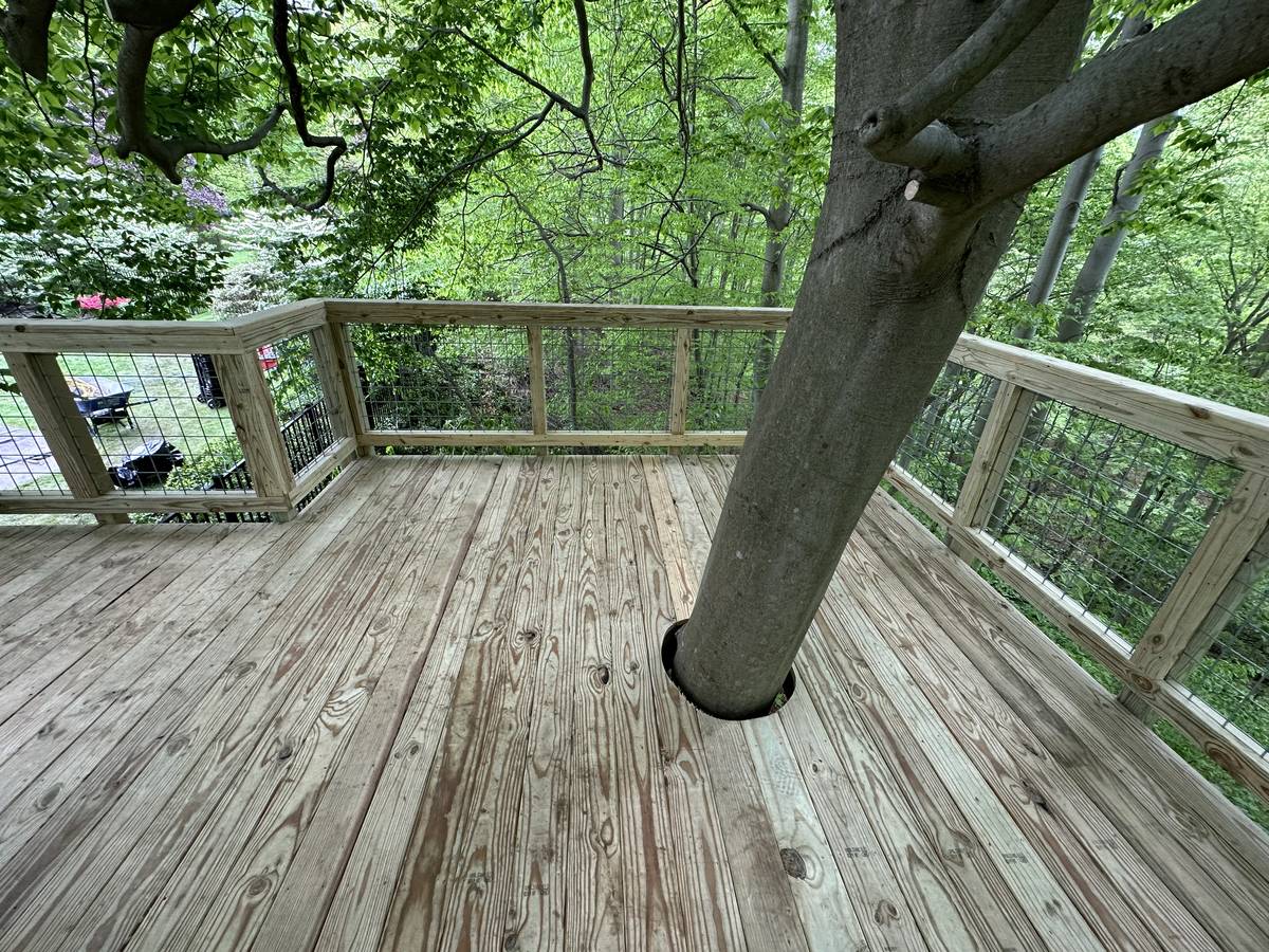 A finished deck with a living tree trunk passing up through the decking